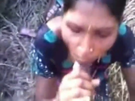 Adivi lo panimanshi tho zamindar sarasam